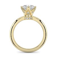 Tulip 6 Claws Crown