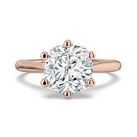 Dalia 6 Shared Claws