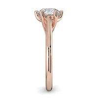 Dalia 6 Shared Claws