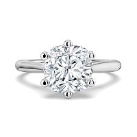 Dalia 6 Shared Claws