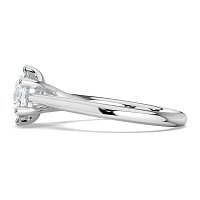 Dalia 6 Shared Claws