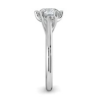 Dalia 6 Shared Claws