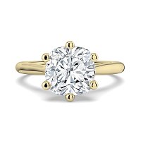 Dalia 6 Shared Claws