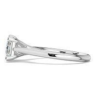 Dalia 6 Shared Claws