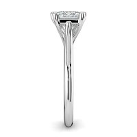Dalia 6 Shared Claws