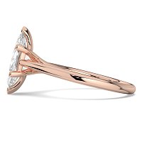 Dalia 6 Shared Claws