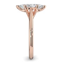 Dalia 6 Shared Claws