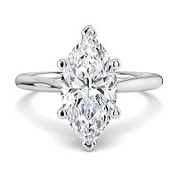 Dalia 6 Shared Claws