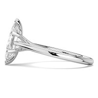 Dalia 6 Shared Claws