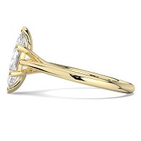 Dalia 6 Shared Claws