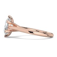 Dalia 6 Shared Claws