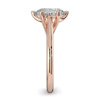 Dalia 6 Shared Claws