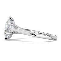 Dalia 6 Shared Claws