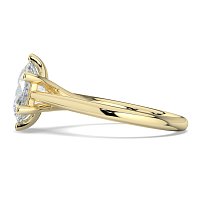 Dalia 6 Shared Claws