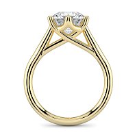 Dalia 6 Shared Claws Engagement Ring