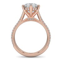 Cathedral Pave Set 6 Claws with Diamond Bridge