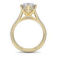 Cathedral Pave Set 6 Claws with Diamond Bridge