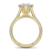 Cathedral Pave Set 6 Claws with Diamond Bridge