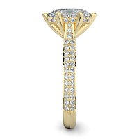 Cathedral Pave Set 6 Claws with Diamond Bridge