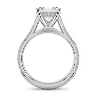 Cathedral Pave Set 6 Claws with Diamond Bridge