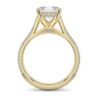 Cathedral Pave Set 6 Claws with Diamond Bridge