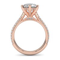 Cathedral Pave Set 6 Claws with Diamond Bridge