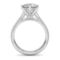 Cathedral Pave Set 6 Claws with Diamond Bridge