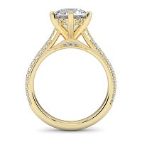 Cathedral Pave Set 6 Claws with Diamond Bridge
