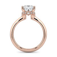 Rene with Curved Hidden Halo