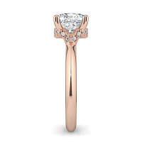 Rene with Curved Hidden Halo