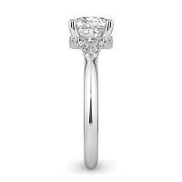 Rene with Curved Hidden Halo