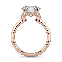 Rene with Curved Hidden Halo