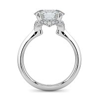 Rene with Curved Hidden Halo