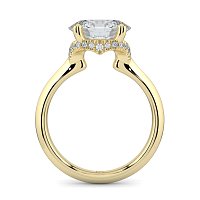Rene with Curved Hidden Halo