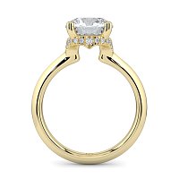 Rene Engagement Ring with Curved Hidden Halo