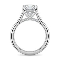 Cathedral Hidden Halo and Diamond Bridge