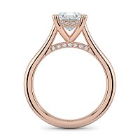 Cathedral Hidden Halo and Diamond Bridge