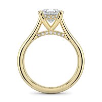 Cathedral Hidden Halo and Diamond Bridge