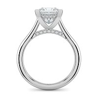 Cathedral Hidden Halo and Diamond Bridge
