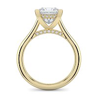 Cathedral Hidden Halo and Diamond Bridge