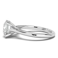 Cathedral Hidden Halo and Diamond Bridge