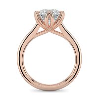 Tulip Cathedral Solitaire