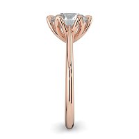 Tulip Cathedral Solitaire