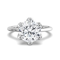 Tulip Cathedral Solitaire