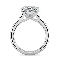 Tulip Cathedral Solitaire