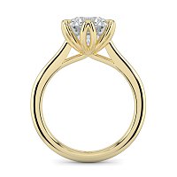 Tulip Cathedral Solitaire