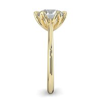Tulip Cathedral Solitaire