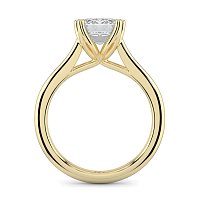Tulip Cathedral Solitaire with 6 Claws