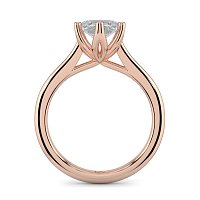 Tulip Cathedral Solitaire with 6 Claws