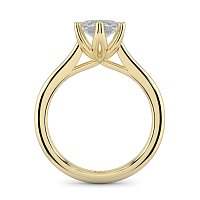 Tulip Cathedral Solitaire with 6 Claws